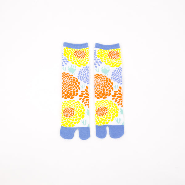 Tabi socks Atsumekikutabi Blue mid calf