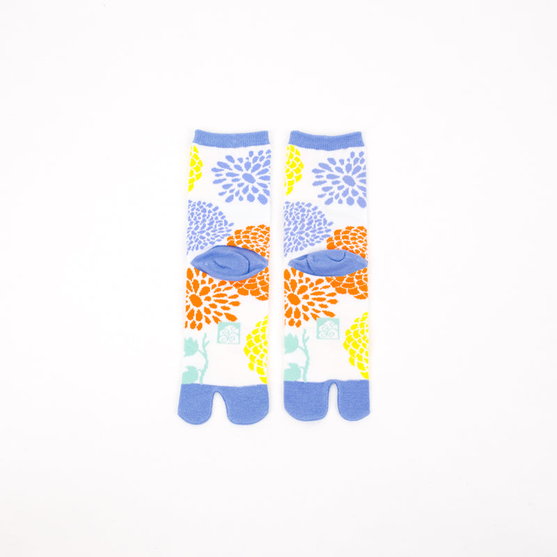 Tabi socks Atsumekikutabi Blue mid calf
